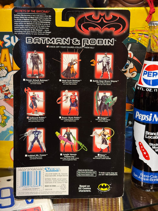 Batman & Robin - Iceboard Robin
