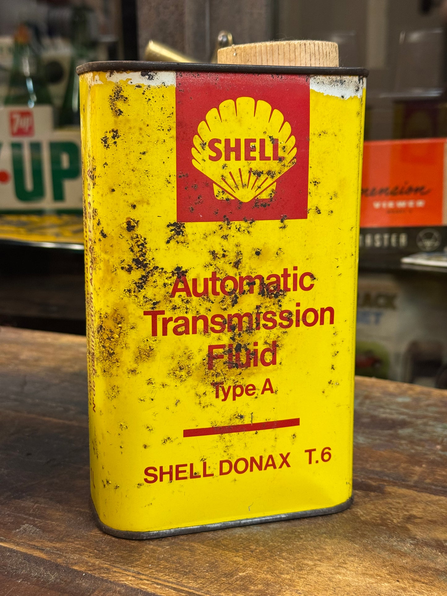 Shell Donax