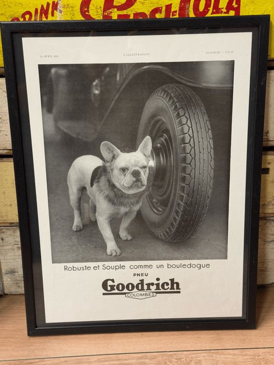 Goodrich 1934