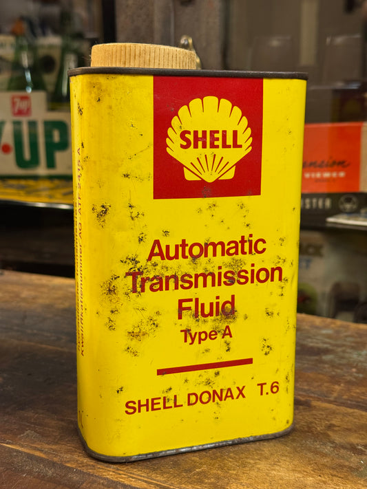 Shell Donax