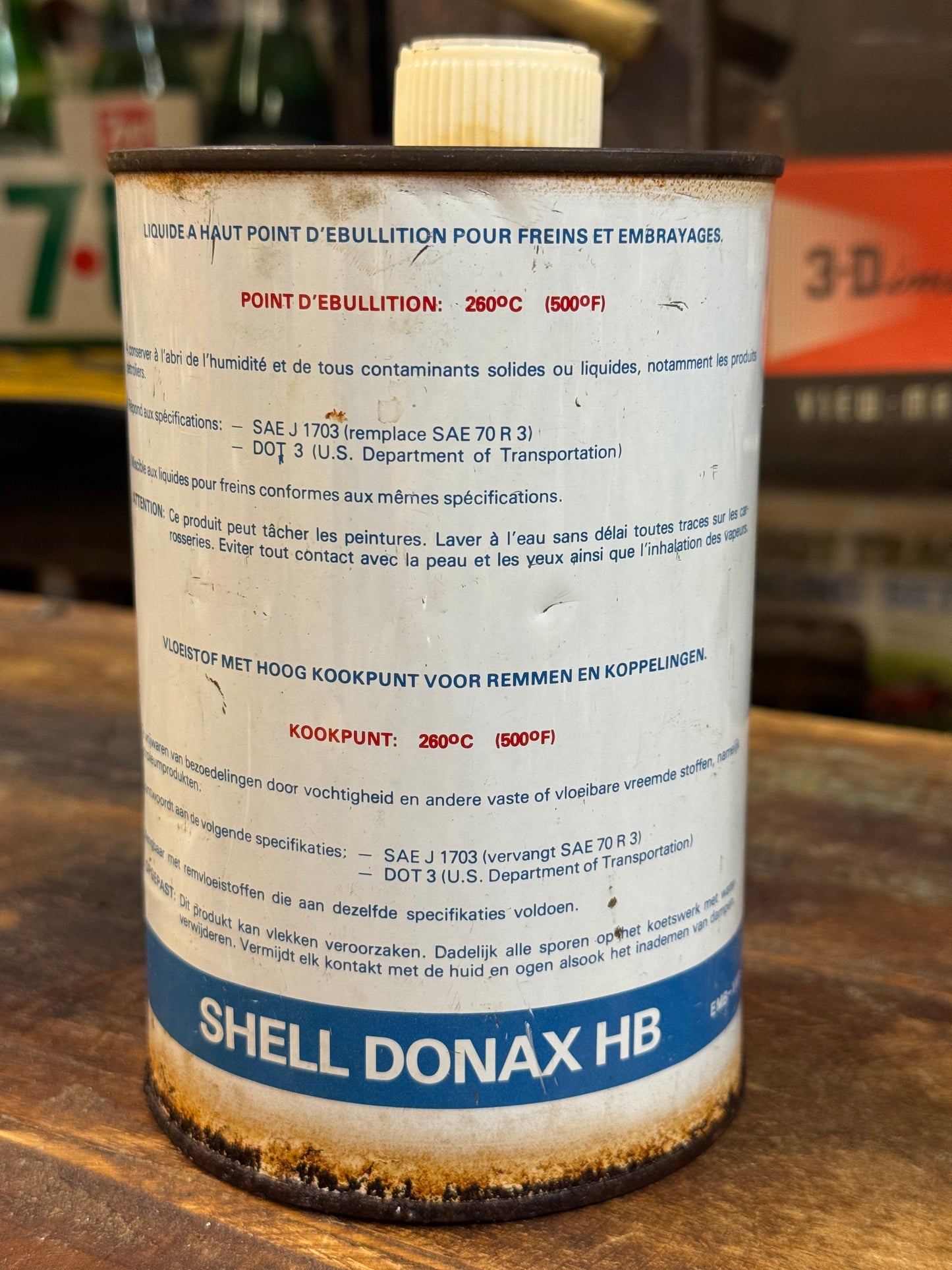 Shell Donax