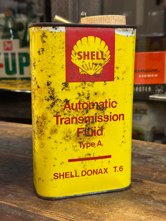 Shell Donax