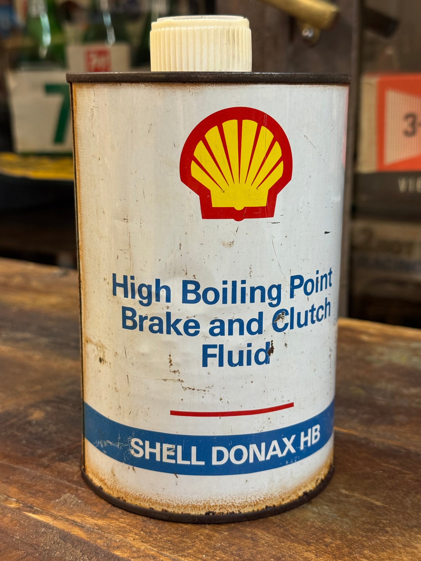 Shell Donax