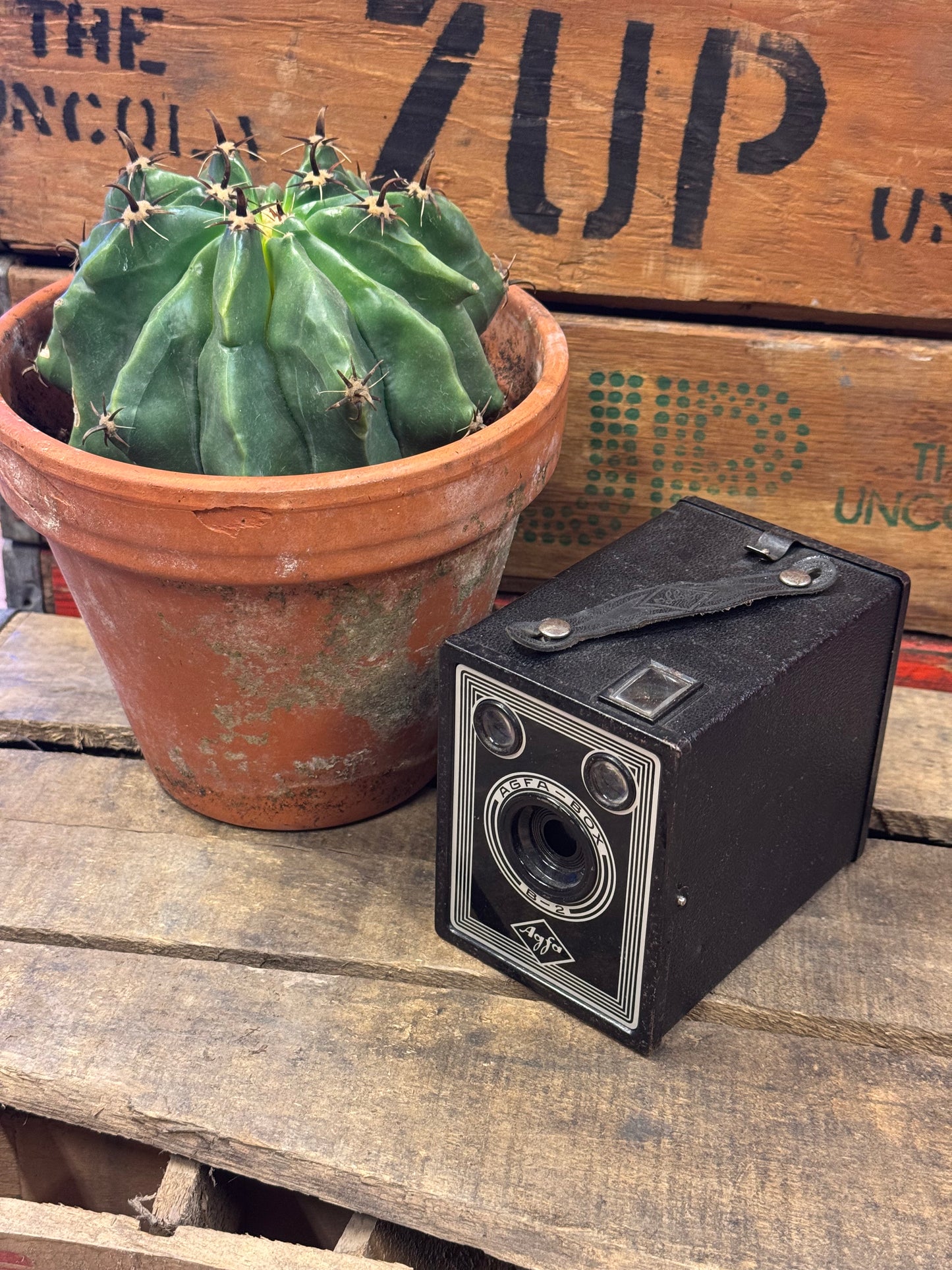 Vintage kamera