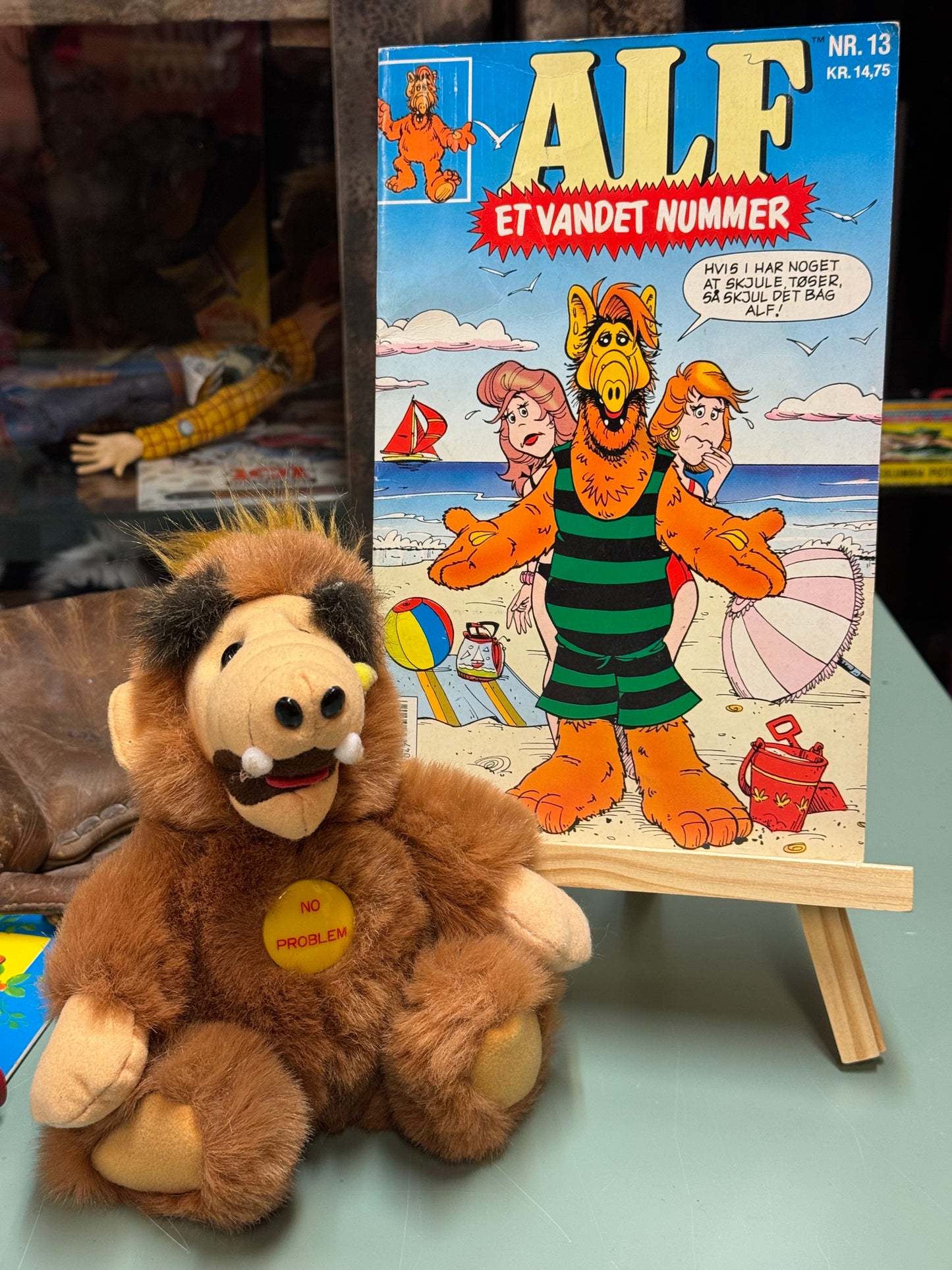 ALF nr. 13