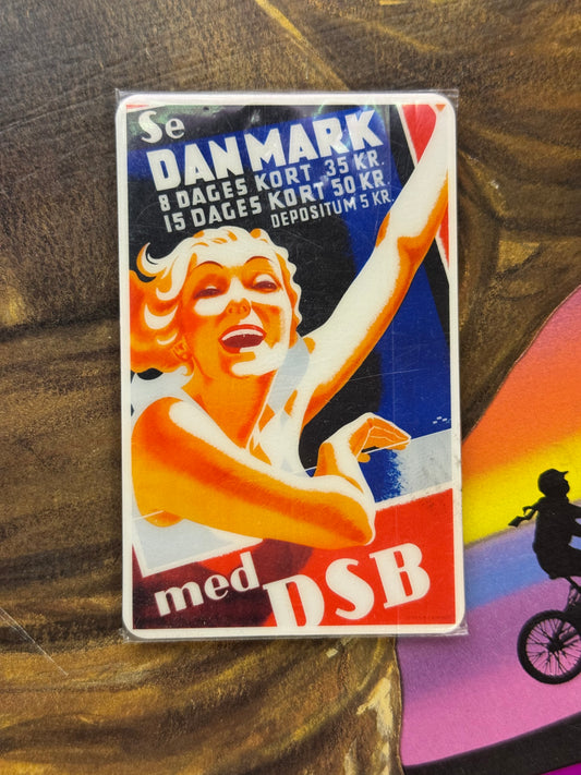 Magnet DSB