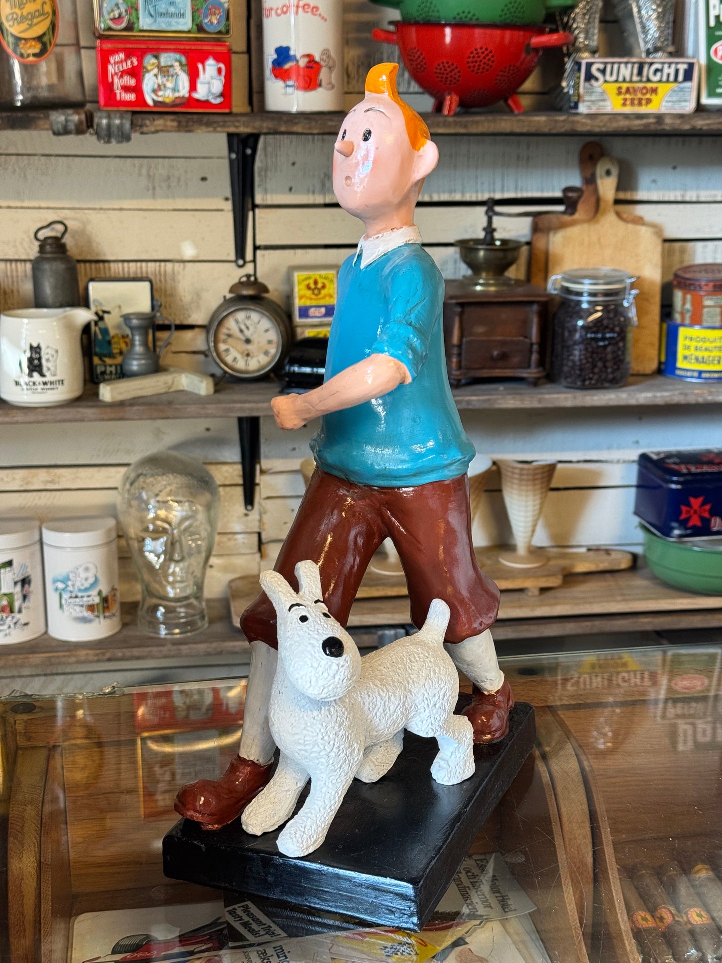 Tintin & Terry