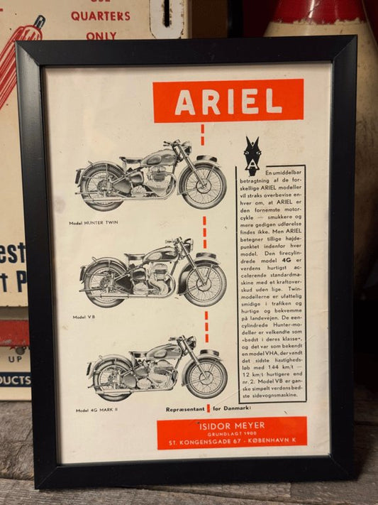 Ariel
