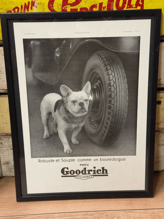 Goodrich 1934