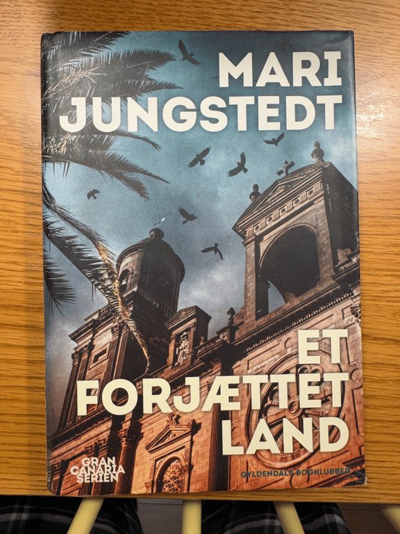 Mari Jungstadt - Bog