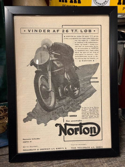 Norton