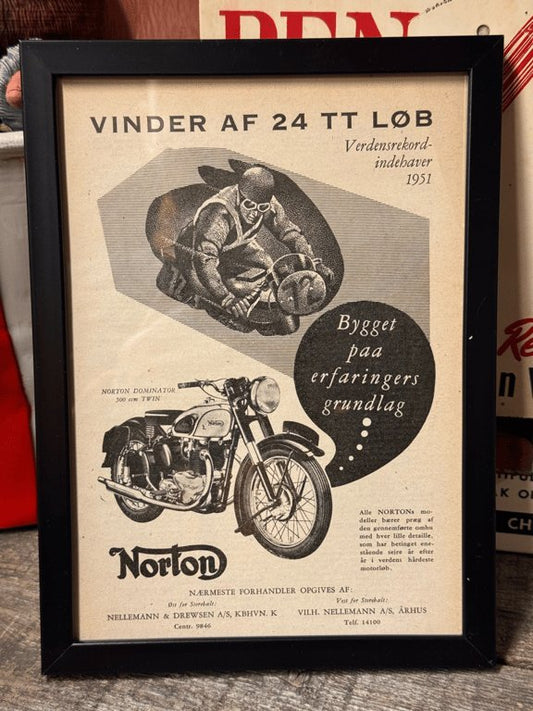 Norton