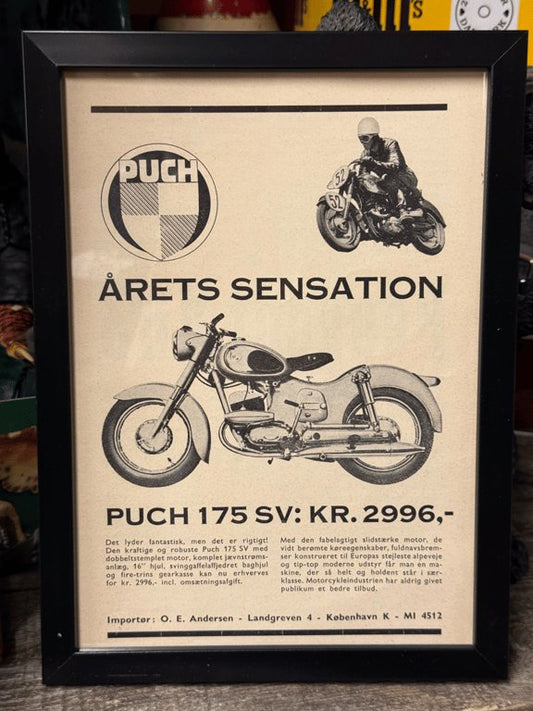 Puch