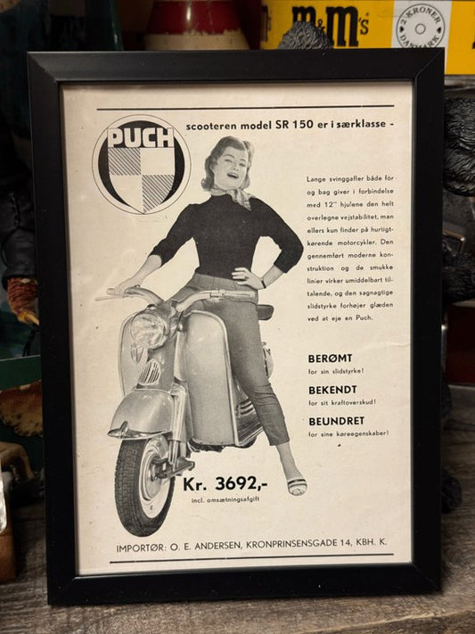 Puch