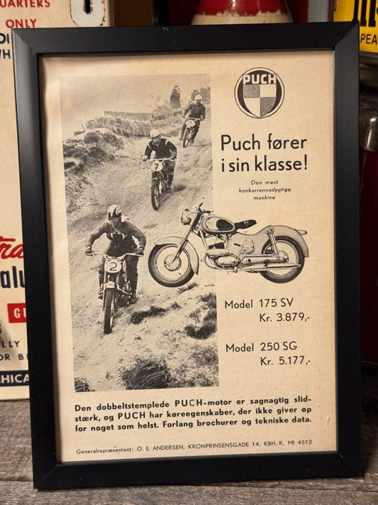 Puch model 175 model 250