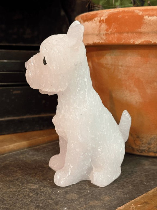 westie lys
