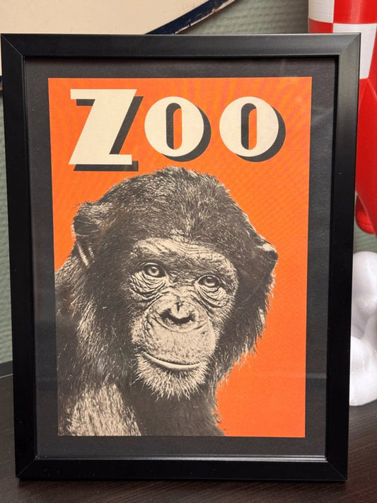 Zoo - Abe